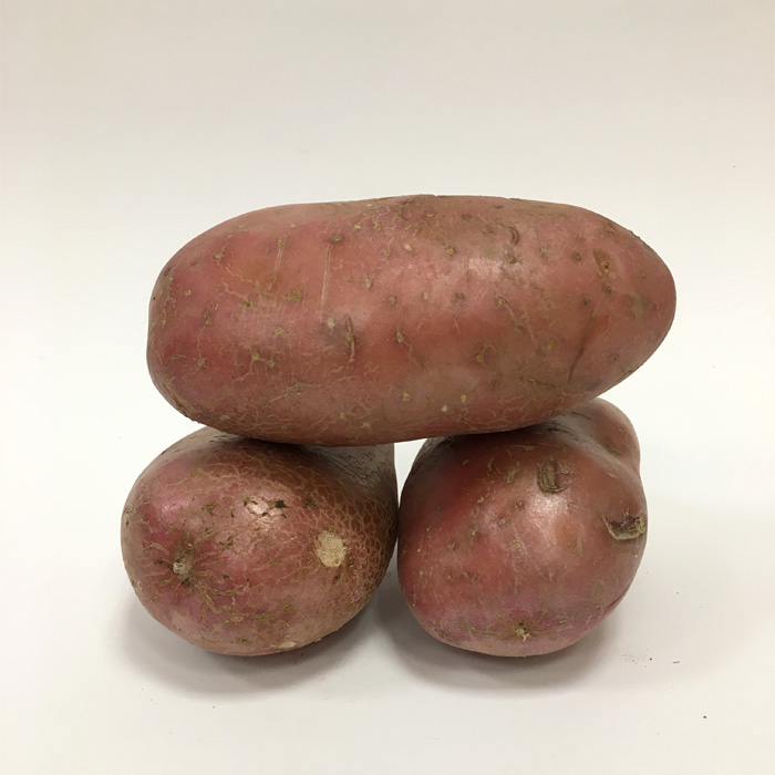 Batata Vermelha Nova