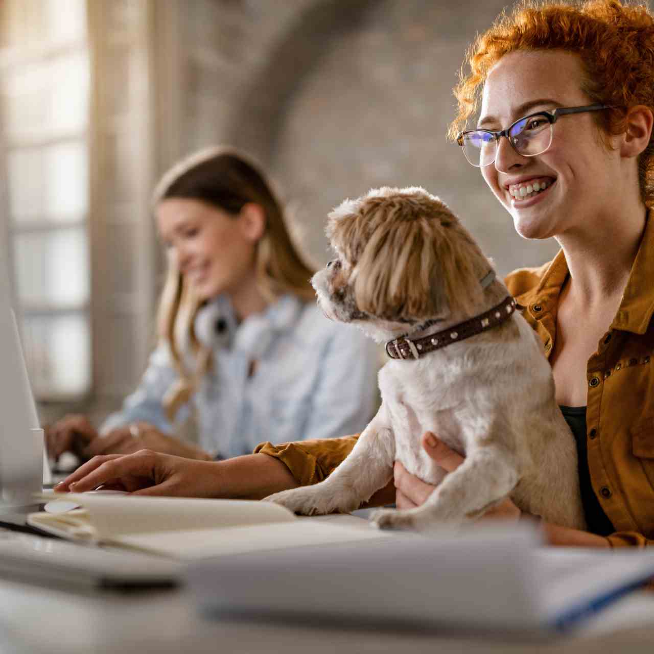 Descobrir como escolher o melhor software de faturação para o seu negócio
